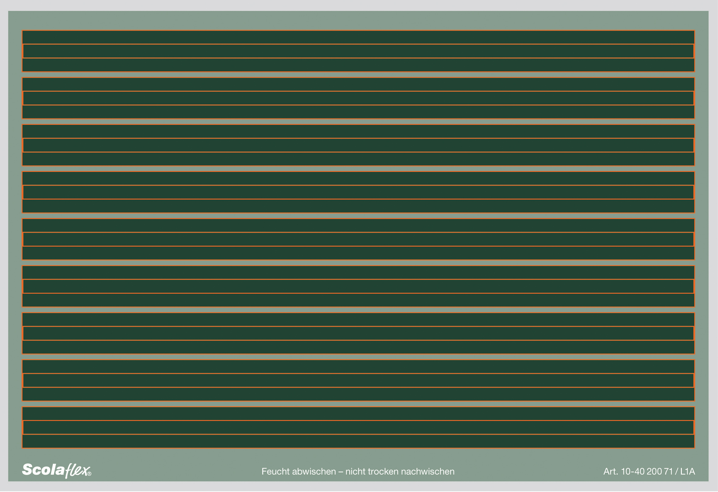 Scolaflex Tafel L1A Vorderseite Lin1 Rückeite Karo 7mm