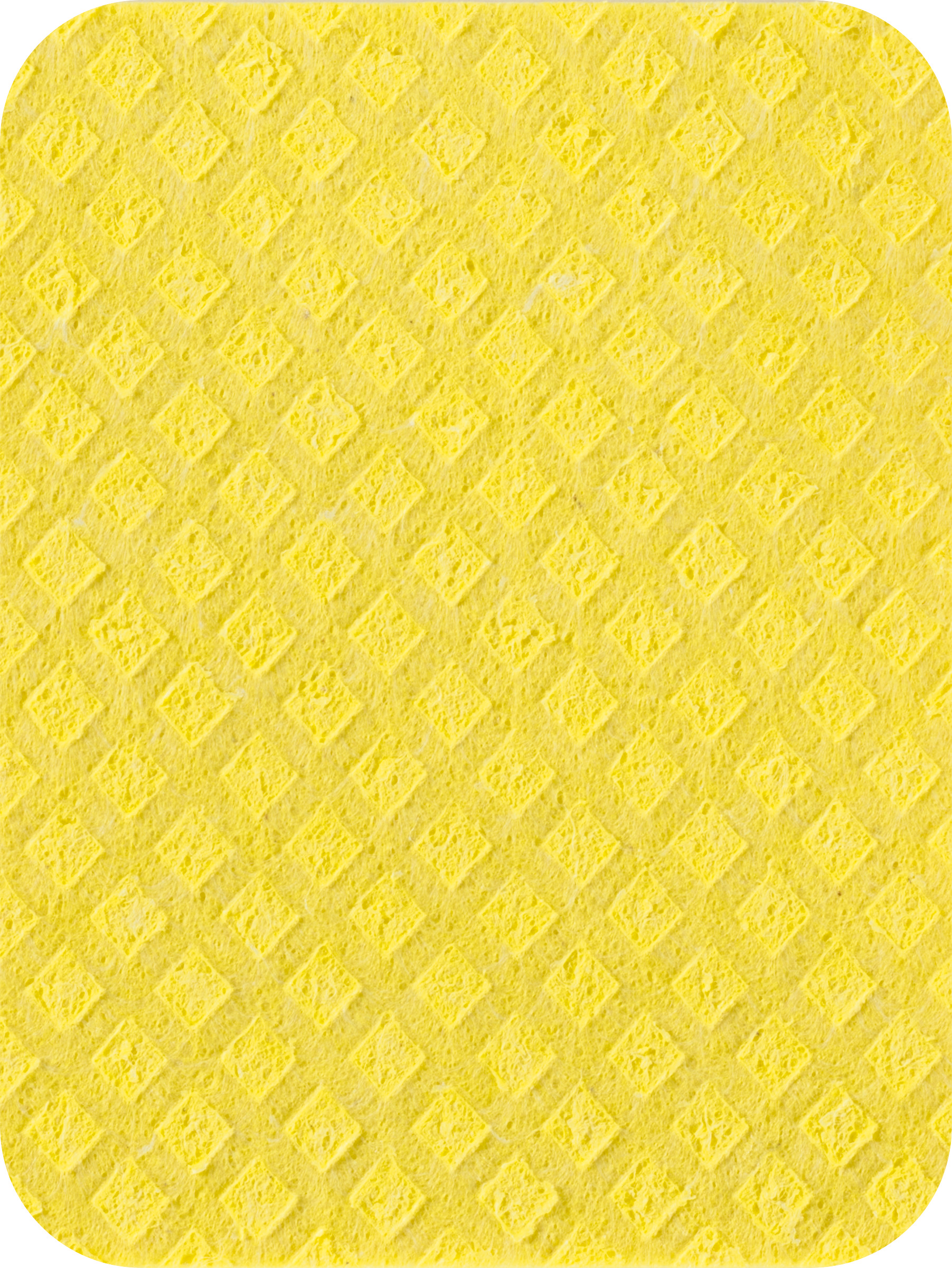 Scolaflex Schwammtuch