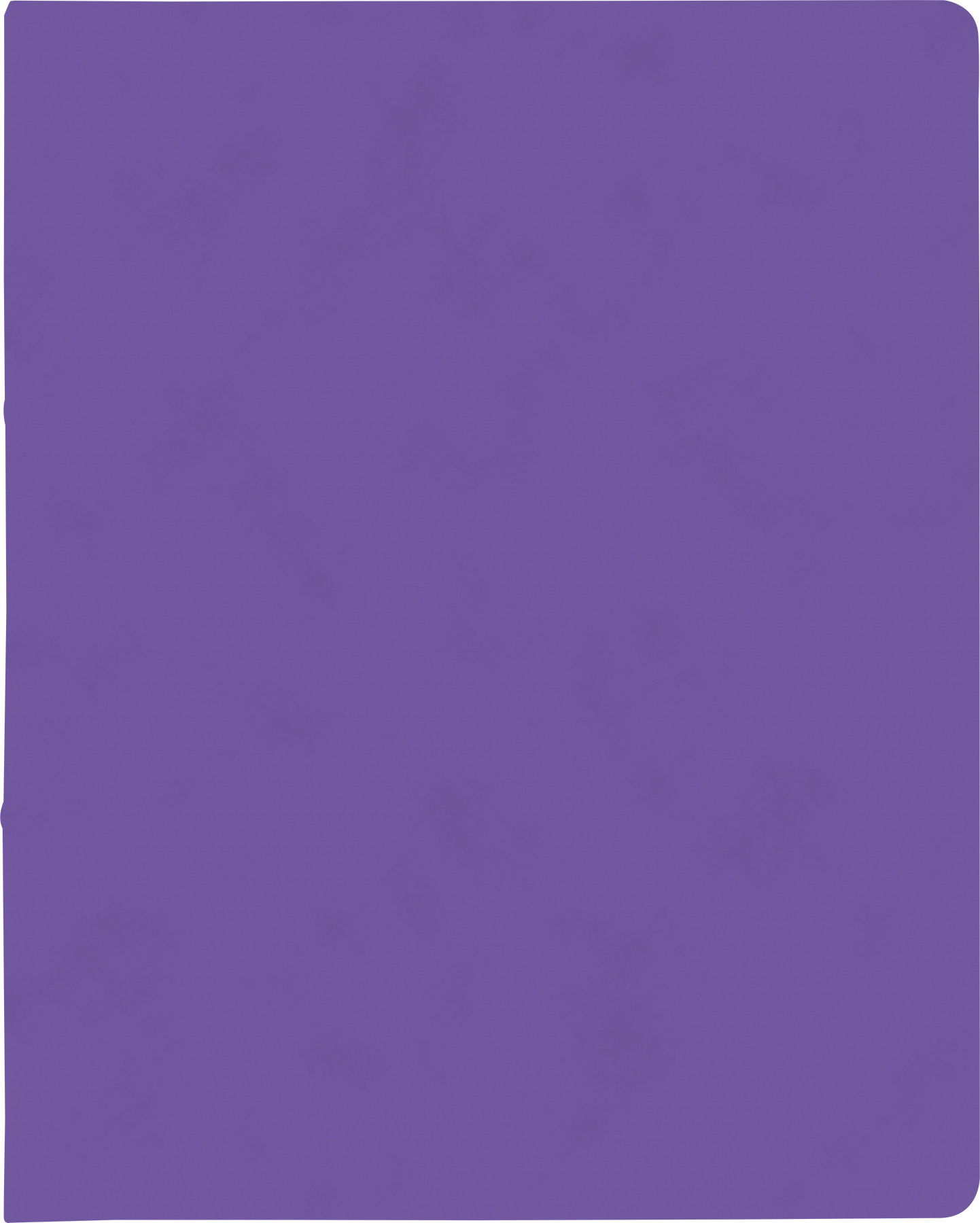 RingbA4 2R 15mm violett Presssp.