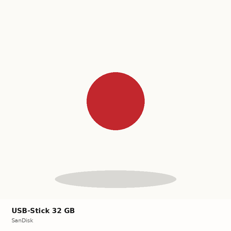 USB-Stick 32 GB